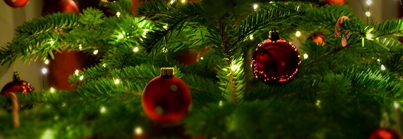 Holiday Decoration Electrical Safety Guidelines