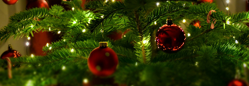 Holiday Decoration Electrical Safety Guidelines